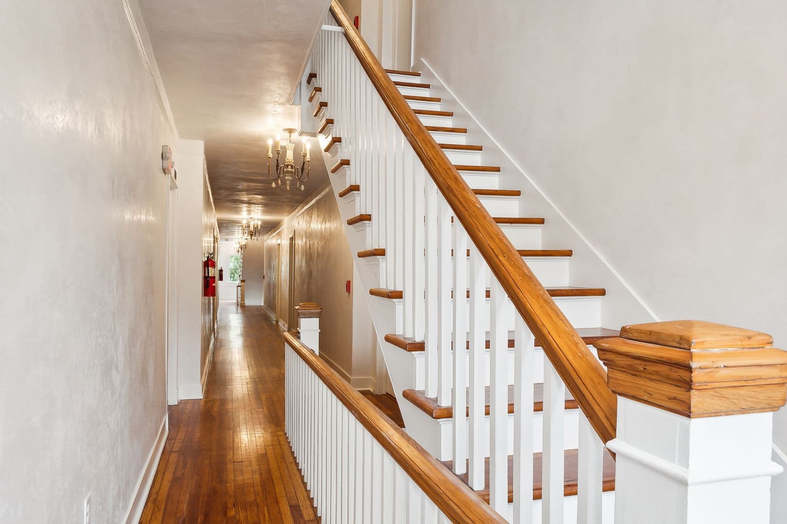 New Orleans Apartment: 7 Fontainebleau Dr.