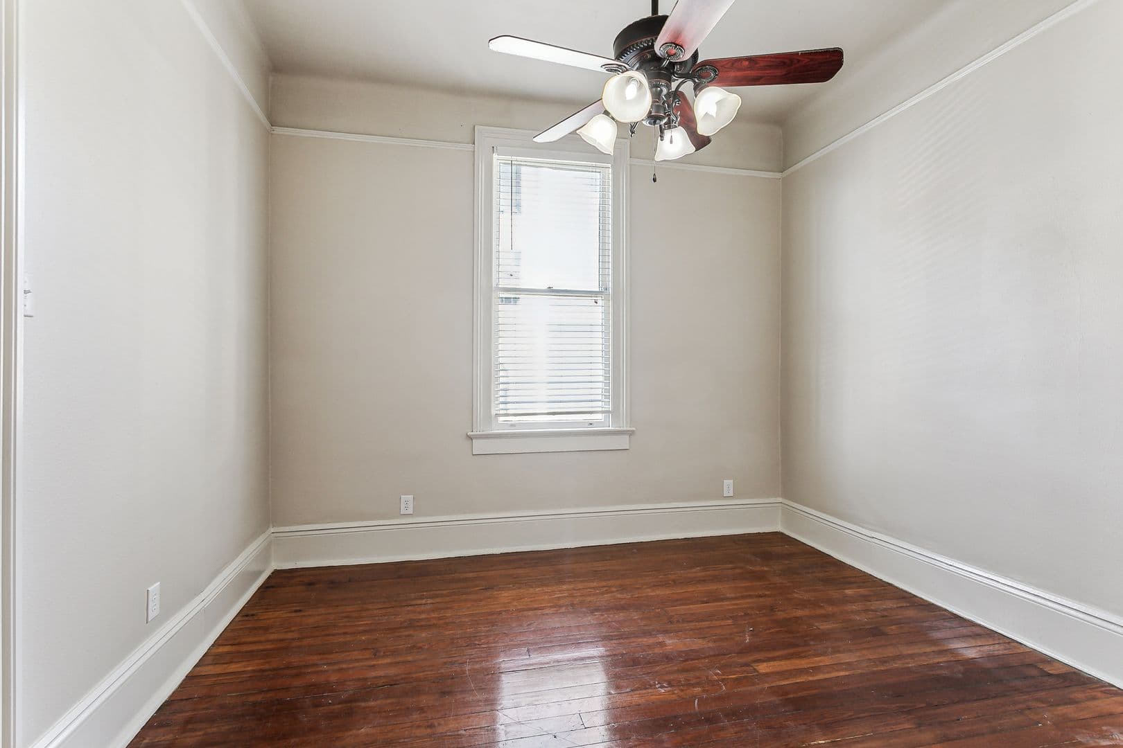New Orleans Apartment: 4540 Canal St