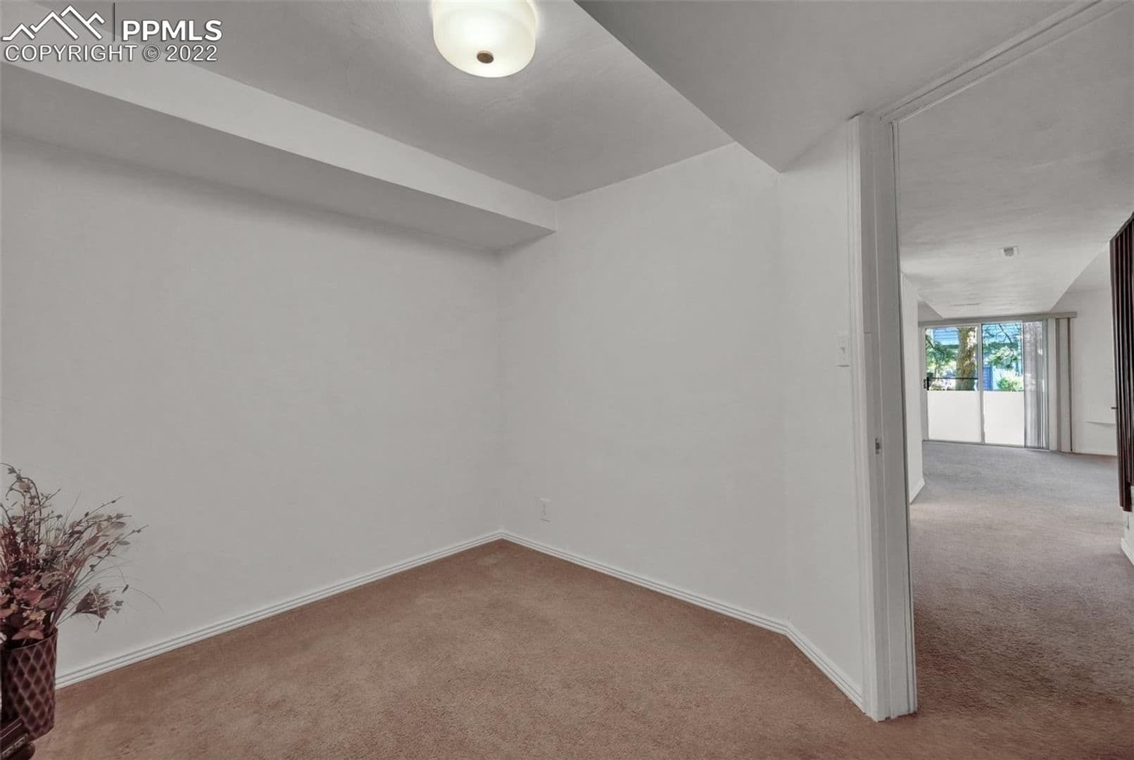 Colorado Springs Townhome: 3467 Queen Anne Way