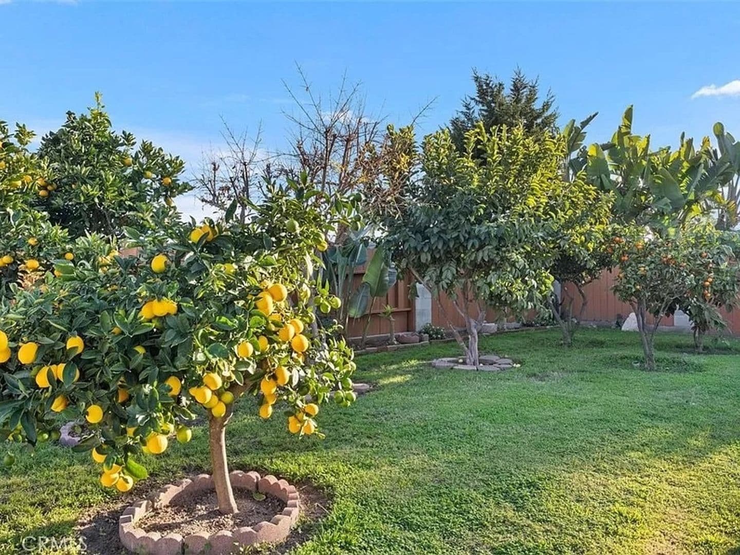 San Marcos House: 842 Via Bella Donna