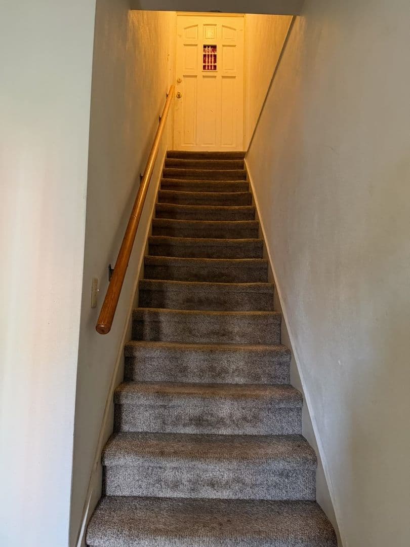 Belleville Townhome: 704 S High St