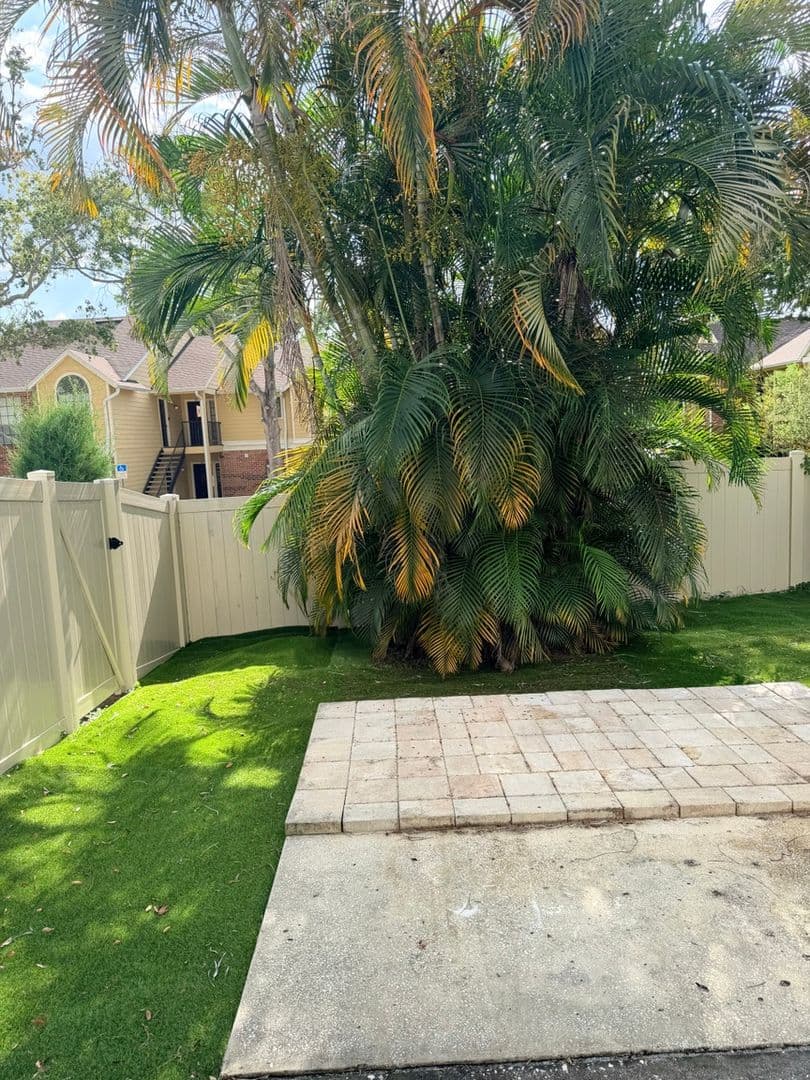 Tampa Townhome: 8728 Jasmine Pond Dr