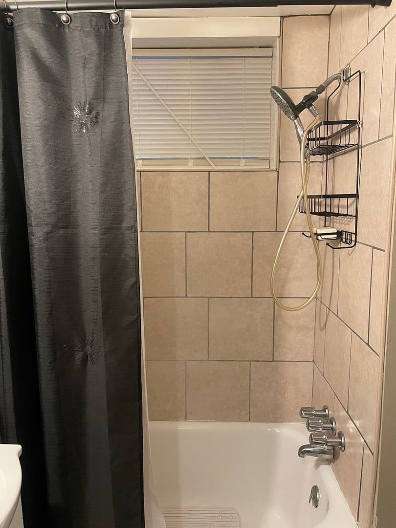 Wilimington Townhome: 1103 W 7th St
