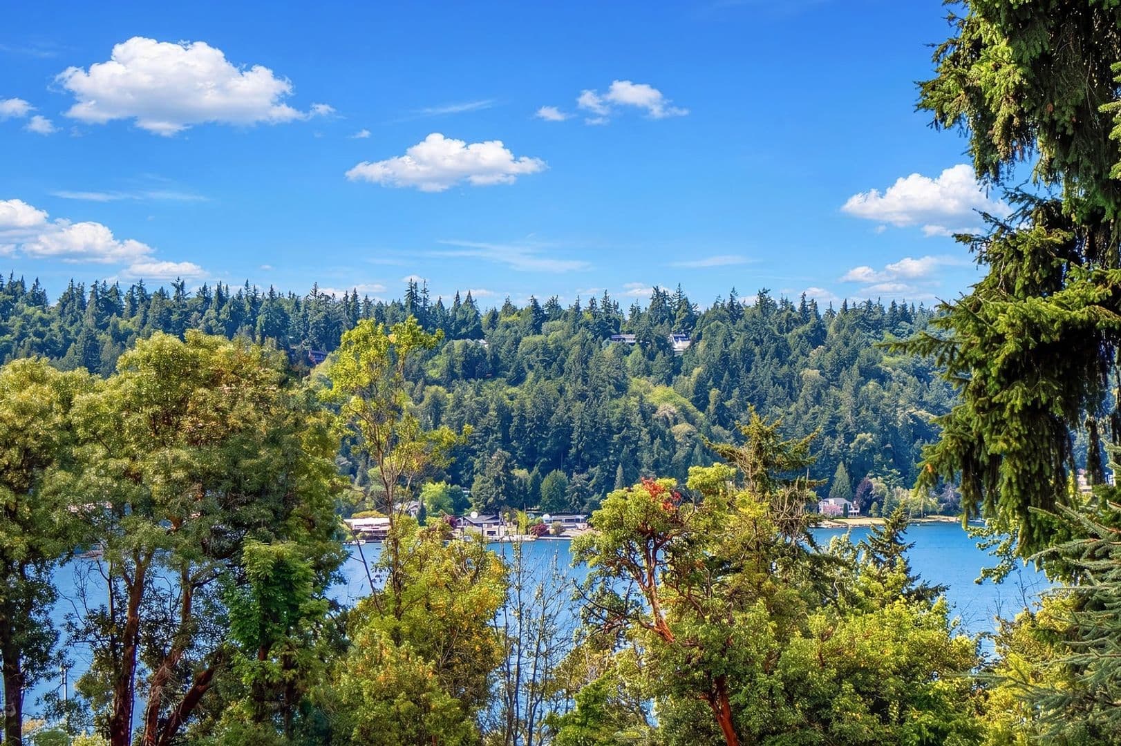 Bellevue House: 5761 110th Ave SE
