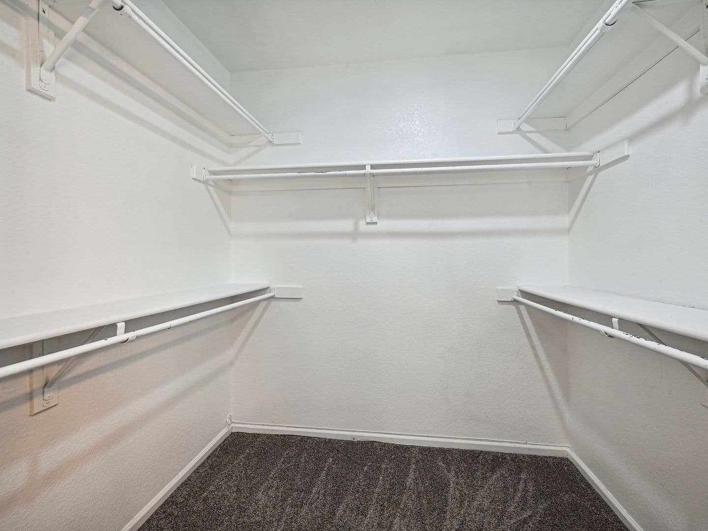 Arvada House: 10015 W 81st Cir