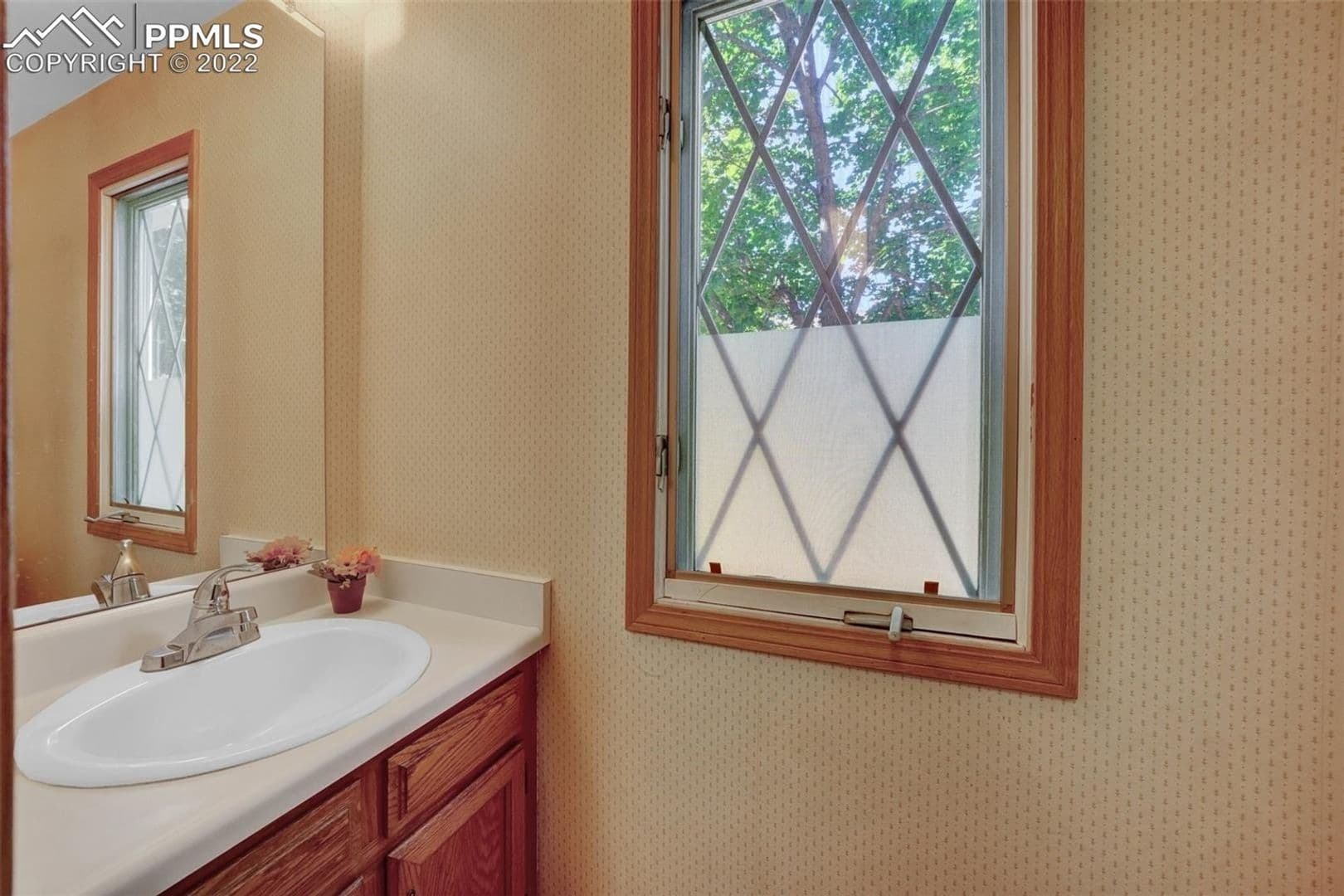 Colorado Springs Townhome: 3467 Queen Anne Way