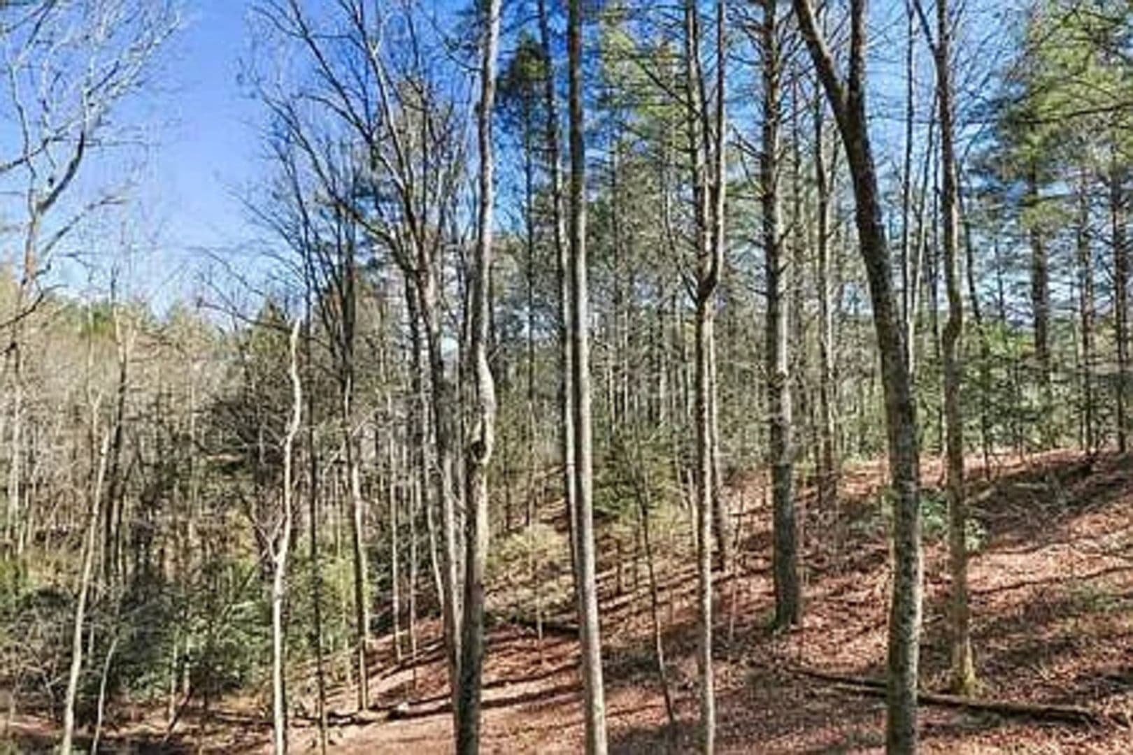 Blue Ridge House: 439 Conley Branch Rd