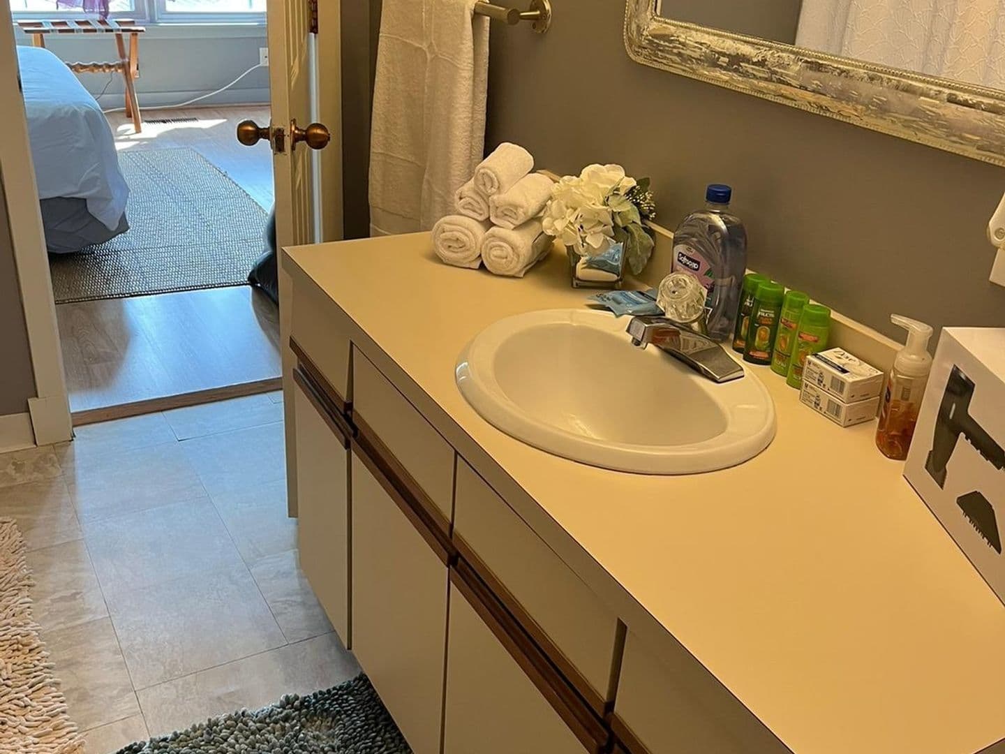 Hartford Condo: 6 Franklin Ave