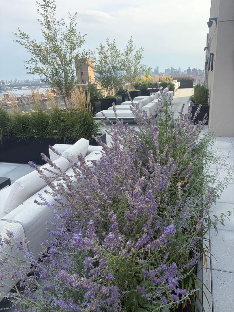 New York Condo: 644 E 14th St