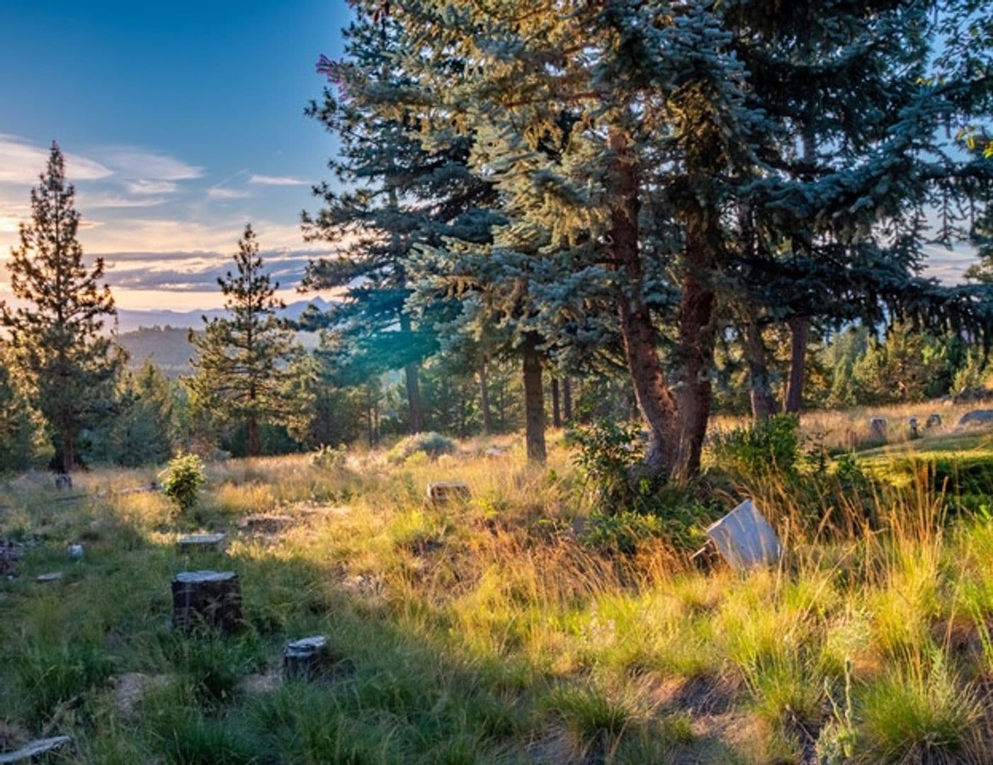 Bend House: 2889 Nw Starview Dr