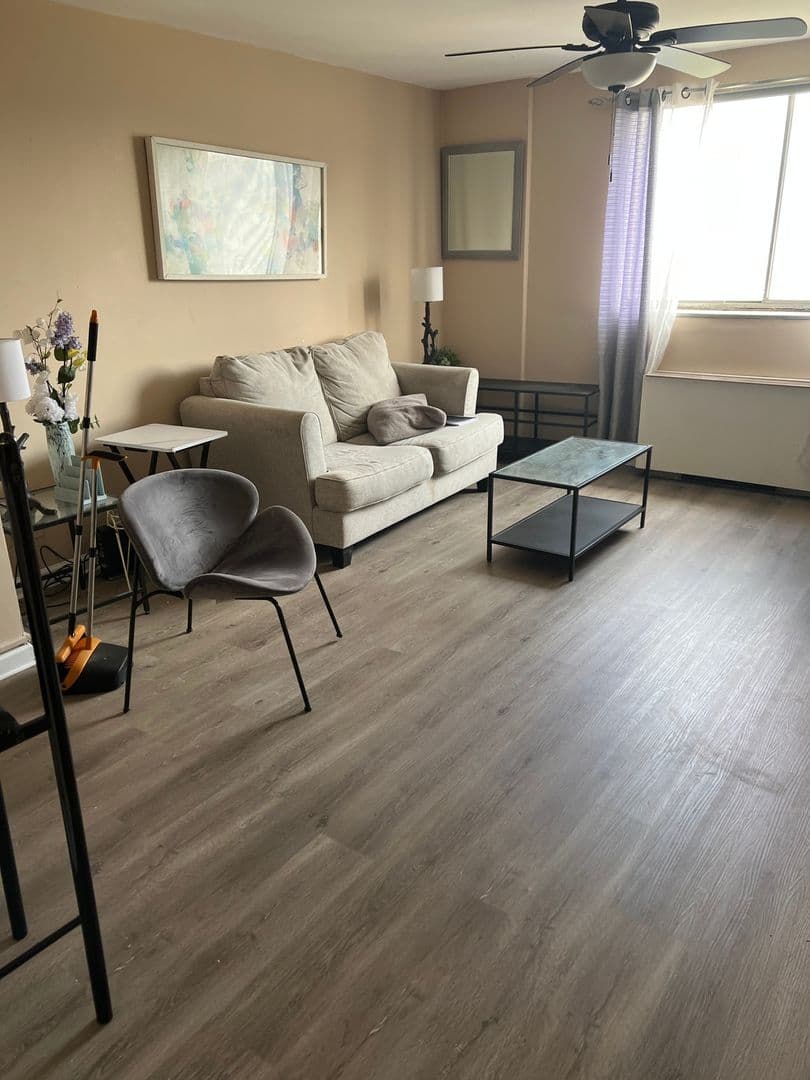 Atlanta Condo: 215 Piedmont Ave Ne