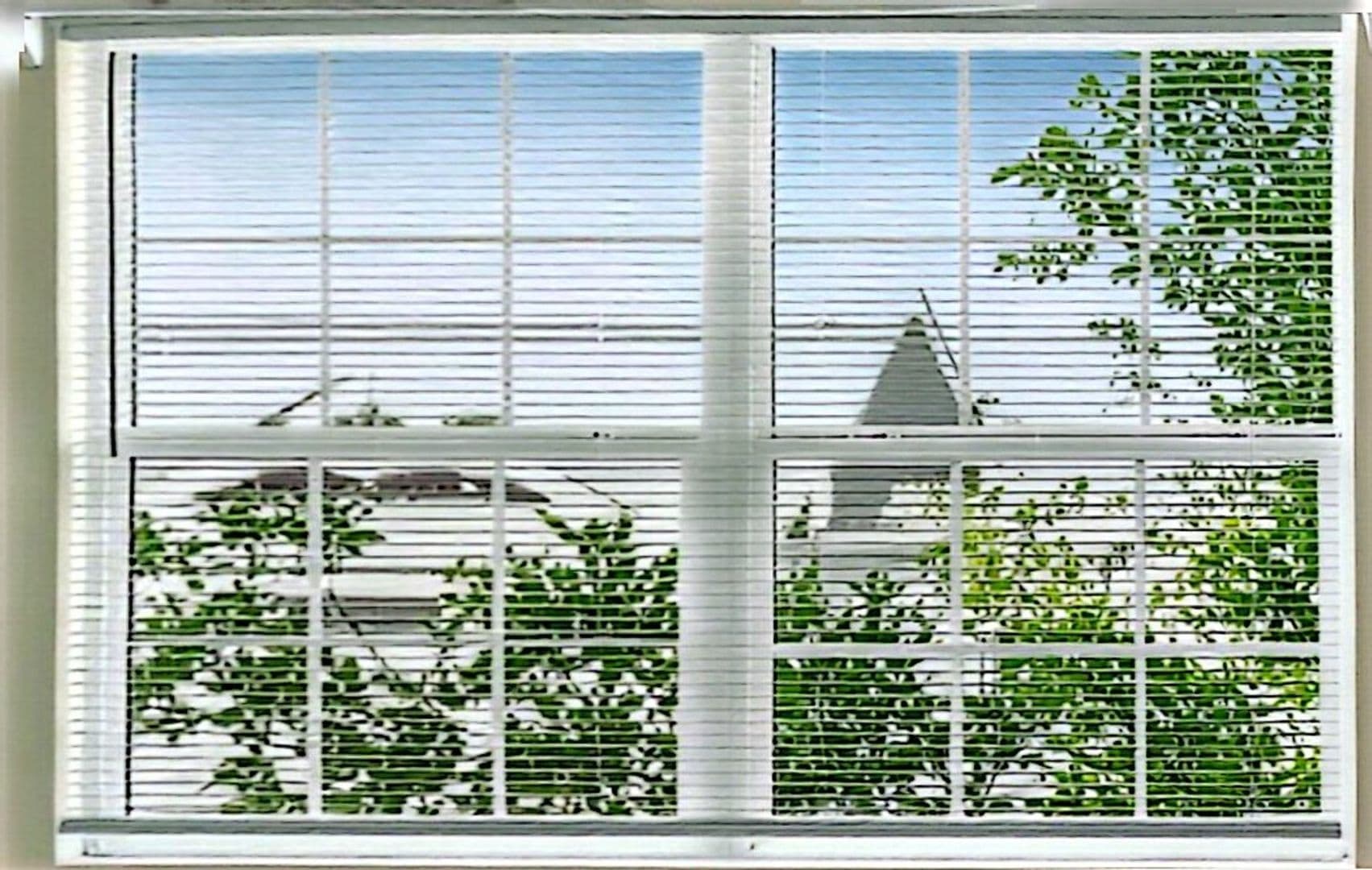 Aurora House: 1533 S Buckley Way