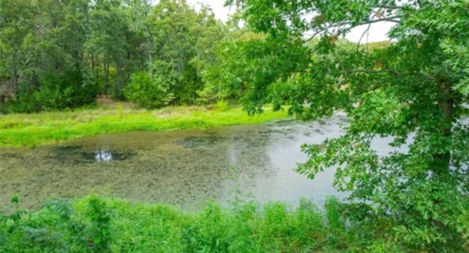 Point House: 652 Co Rd 4252