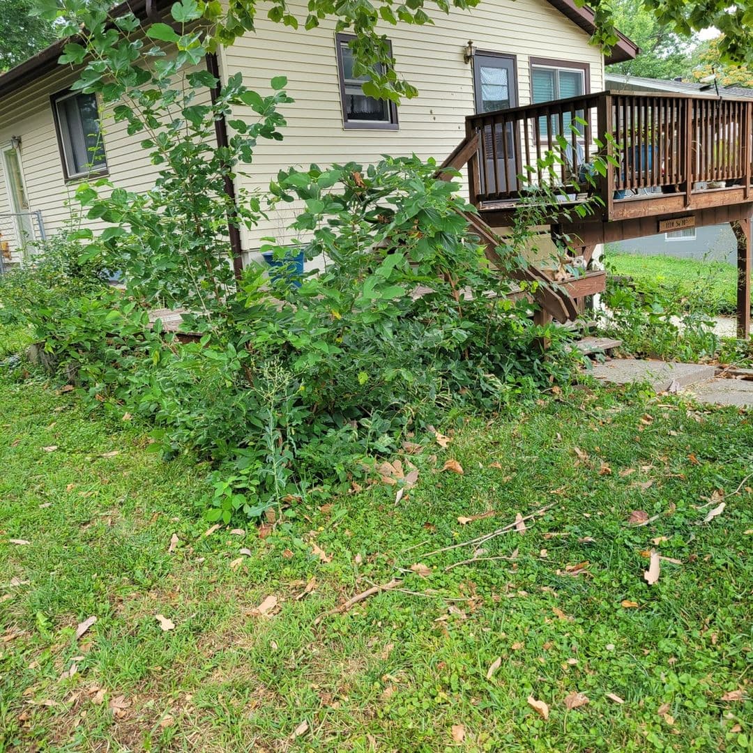 Plattsmouth House: 1110 S 10th St