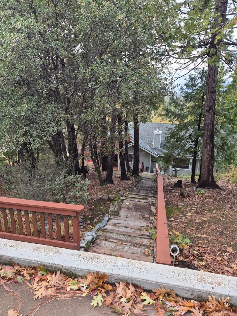 Murphys House: 281 Forest Meadows Dr