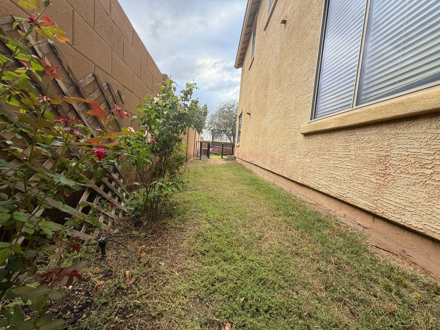 Casa Grande House: 2341 E Alida Trl