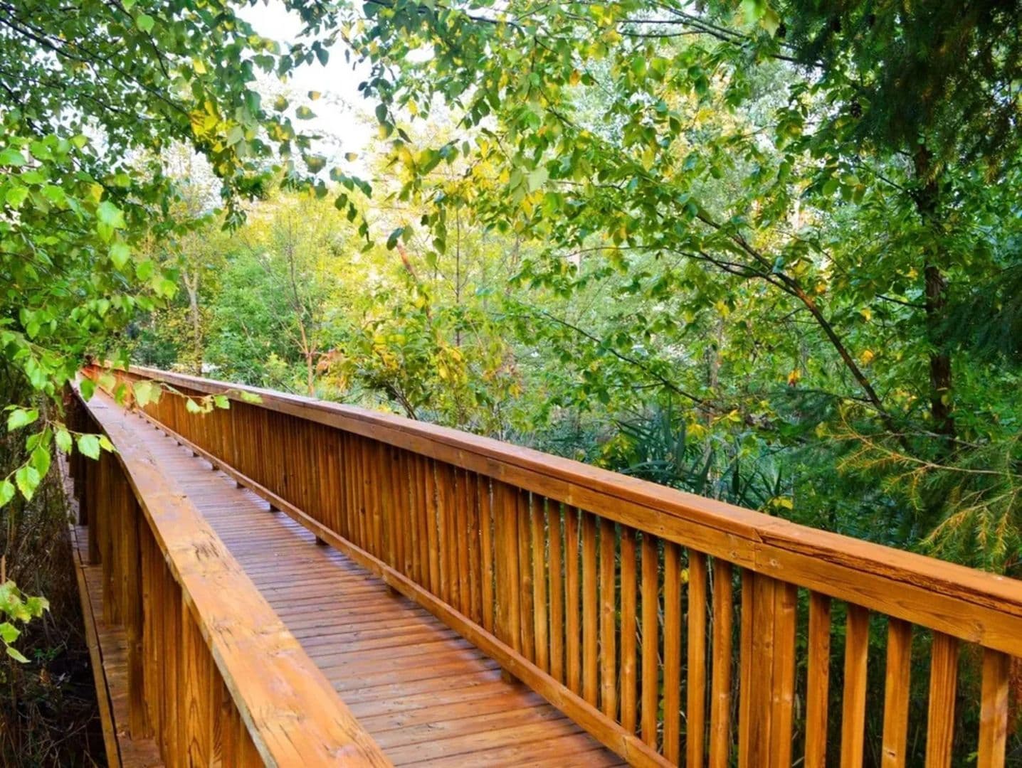 Walled Lake Condo: 422 Old Pine Way