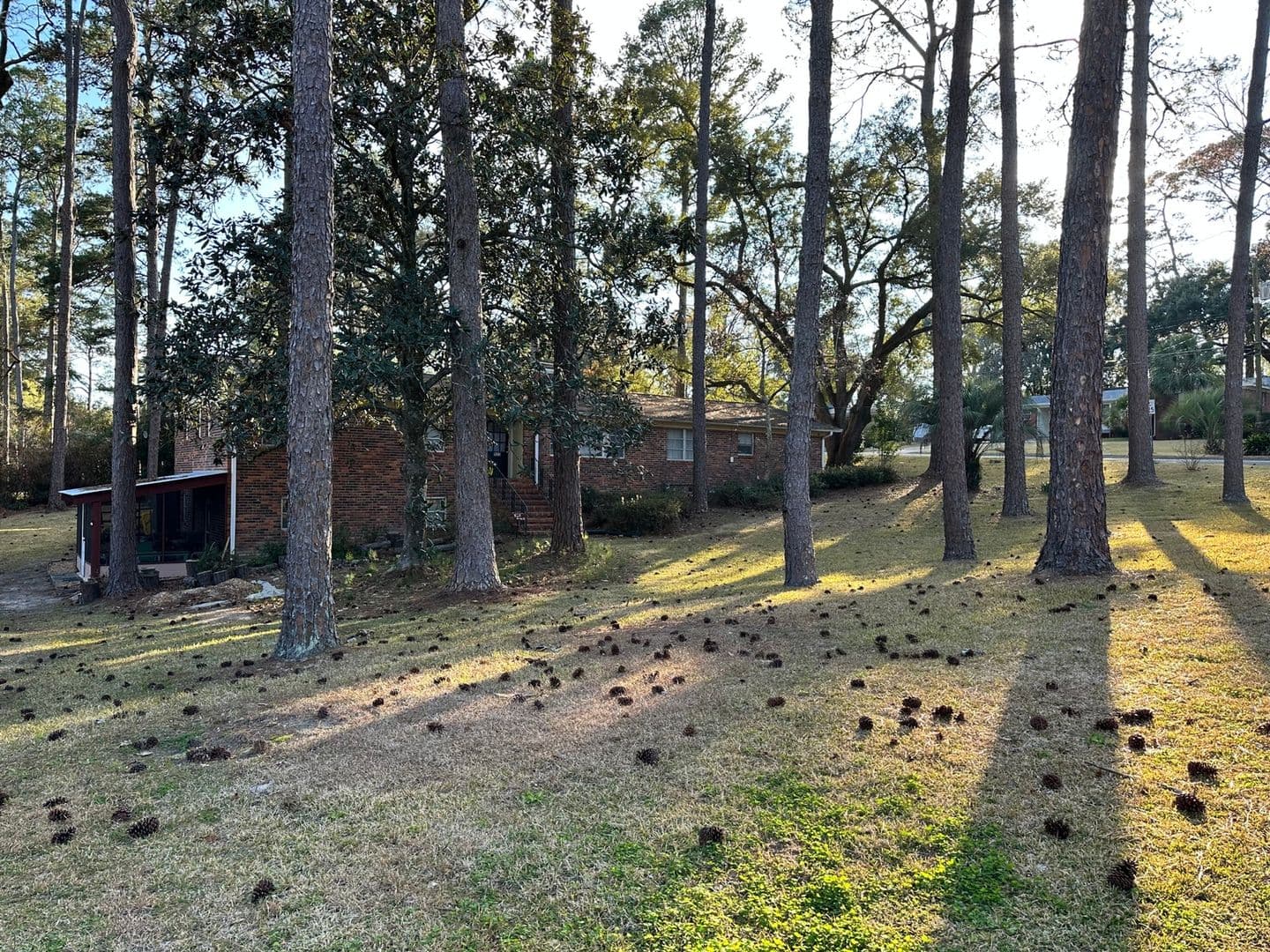 Tallahassee House: 923 Abbiegail #2
