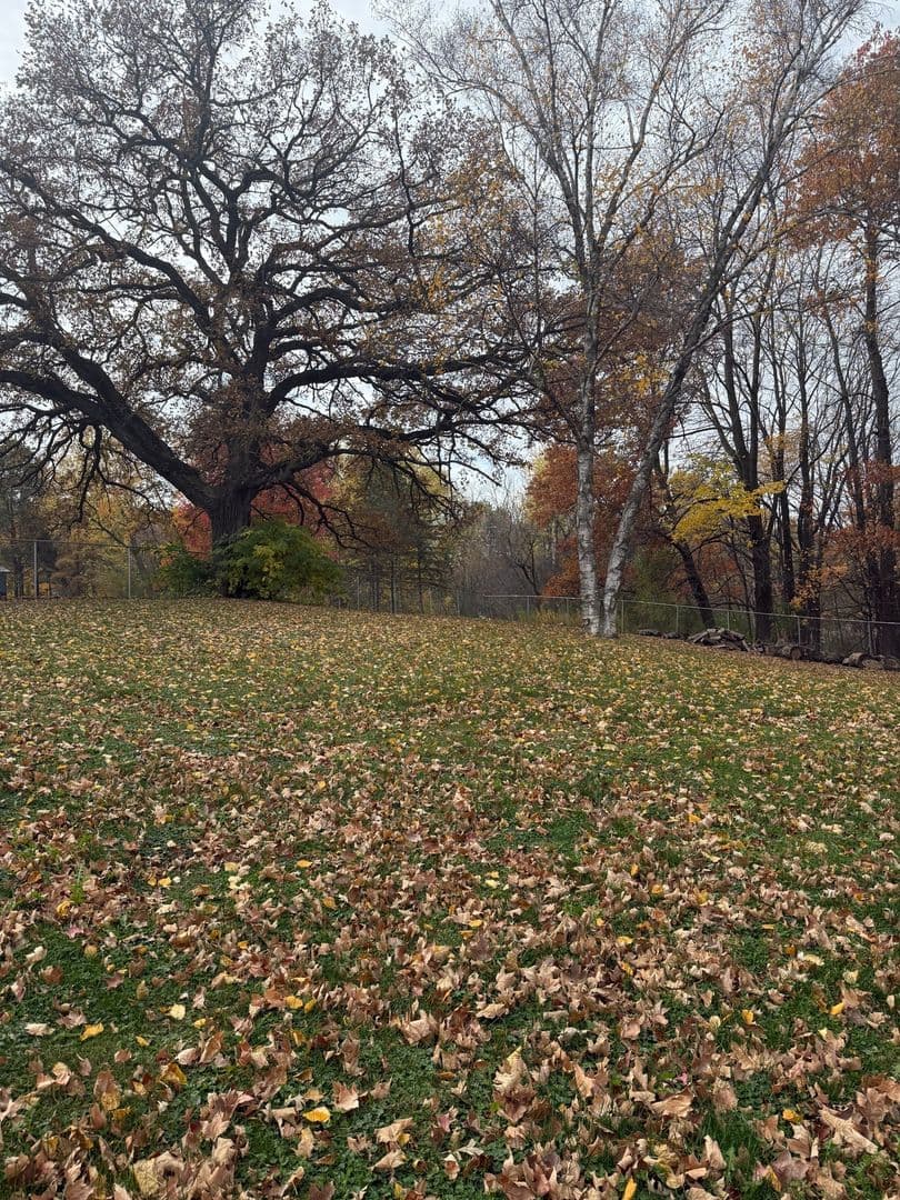 Prior Lake House: 17742 Fairlawn Ave