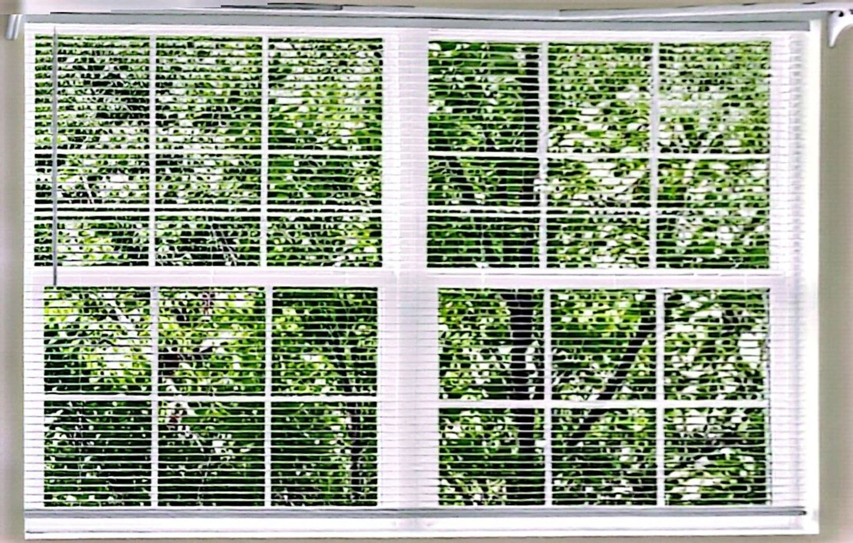 Aurora House: 1533 S Buckley Way