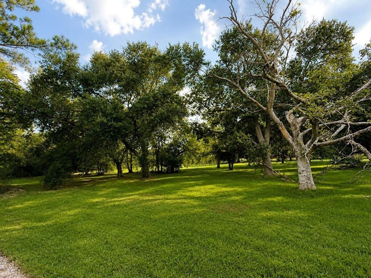 Pearland House: 2245 county road 130