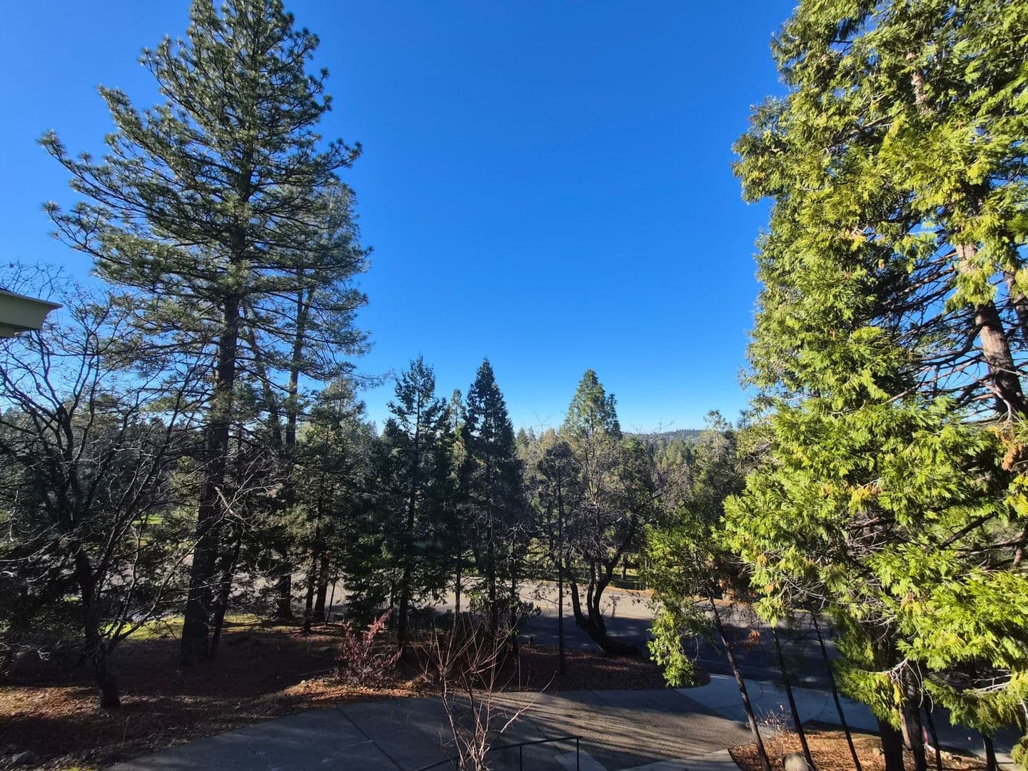 Murphys House: 281 Forest Meadows Dr