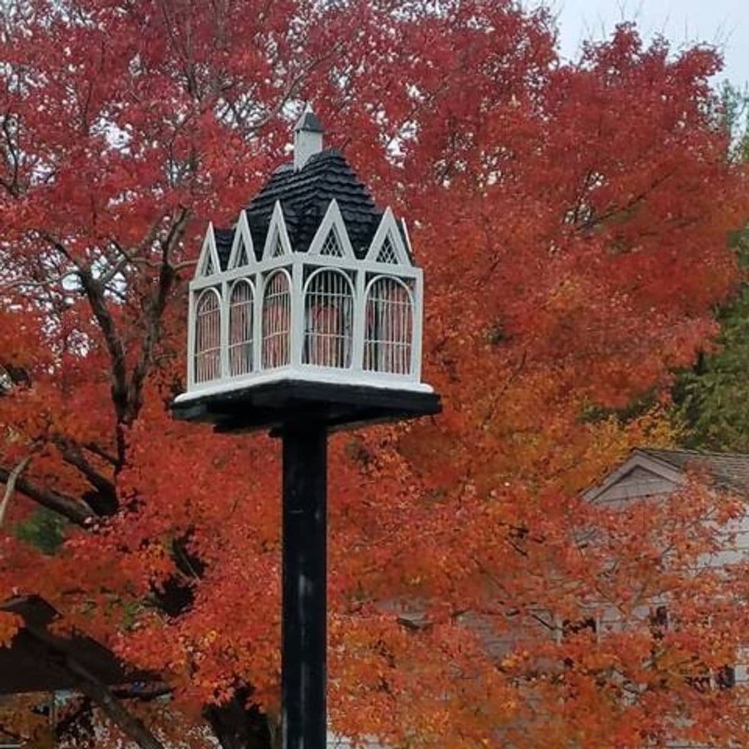 Manassas House: 14416 Bristow Rd