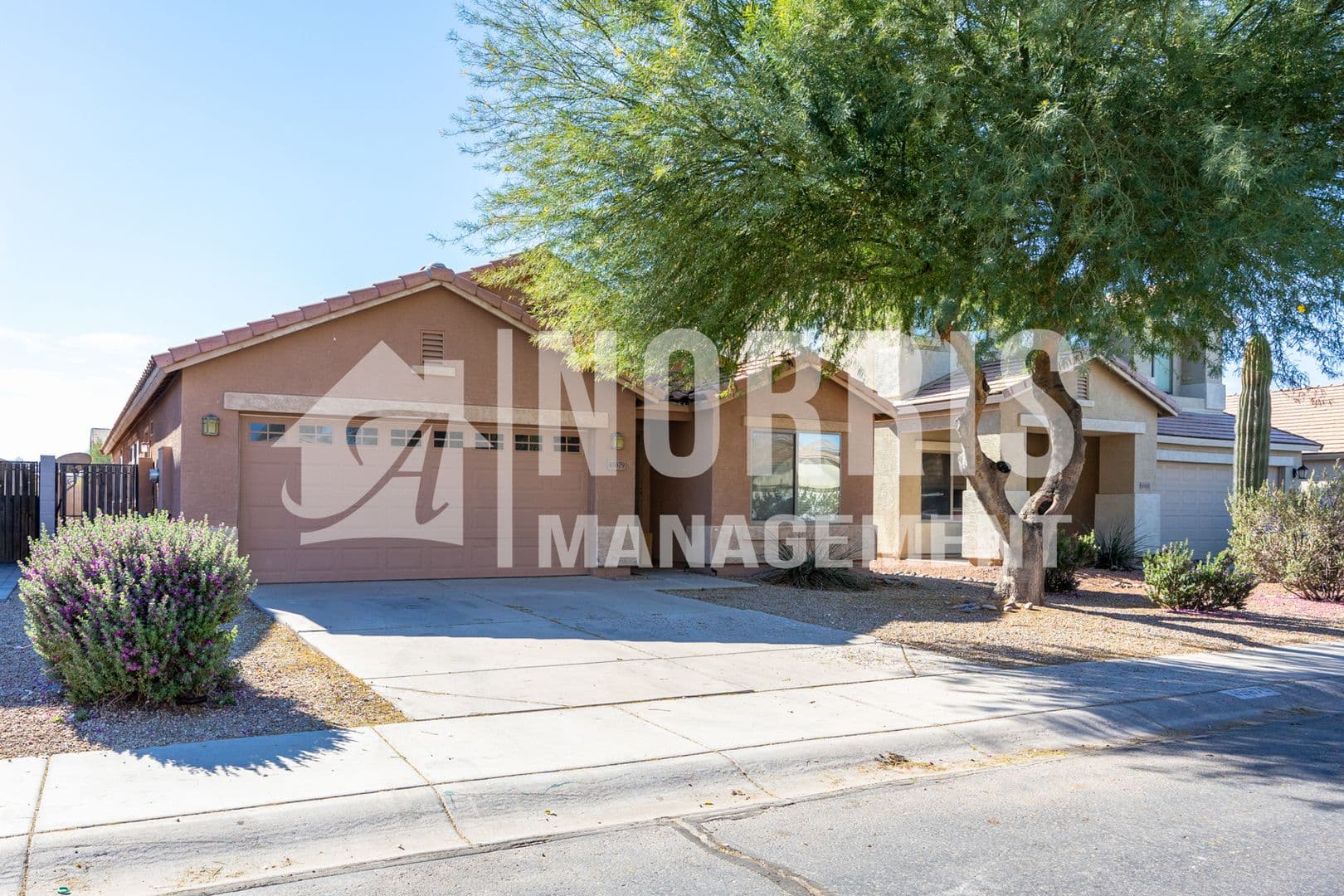 Maricopa House: 45679 W Tulip Ln