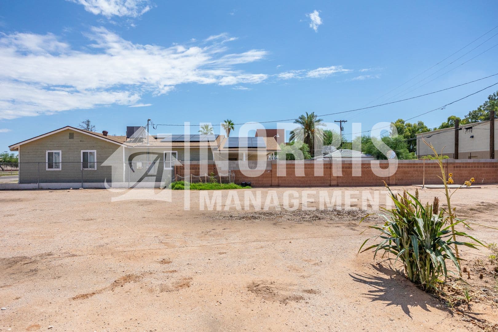 Casa Grande Apartment: 710 N Olive Ave