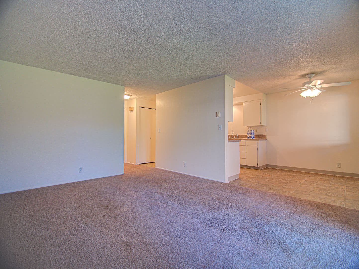 ALBANY Apartment: 625 34TH AVENUE, SE