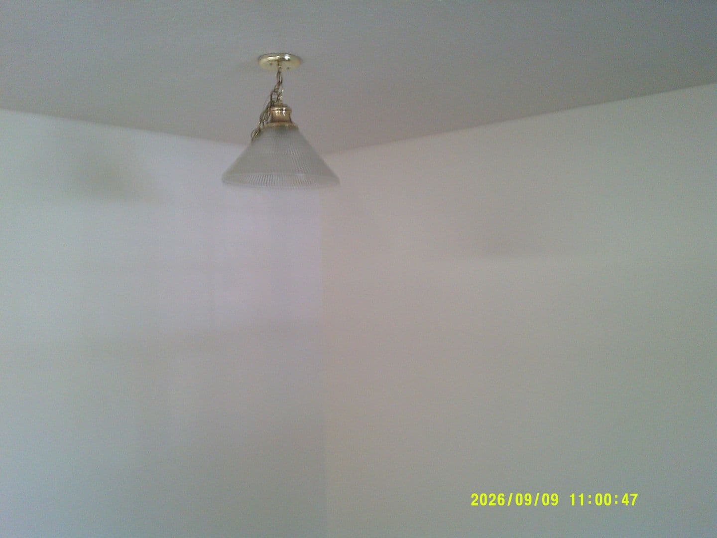 DUNDEE Apartment: 179 SW 7TH ST