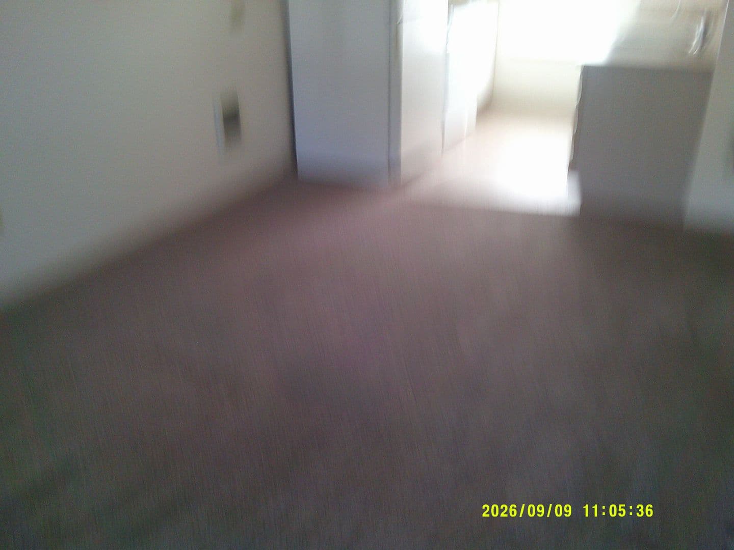 DUNDEE Apartment: 179 SW 7TH ST