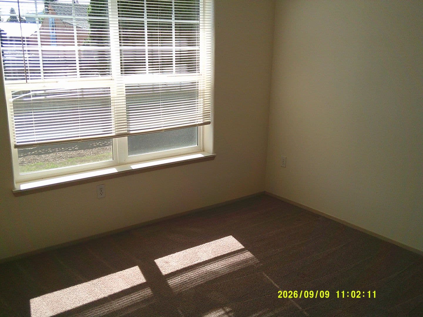 DUNDEE Apartment: 179 SW 7TH ST