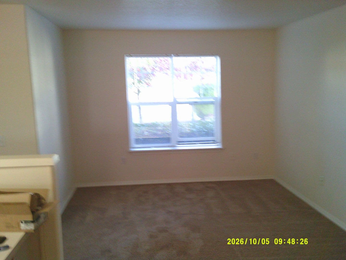 DUNDEE Apartment: 179 SW 7TH ST