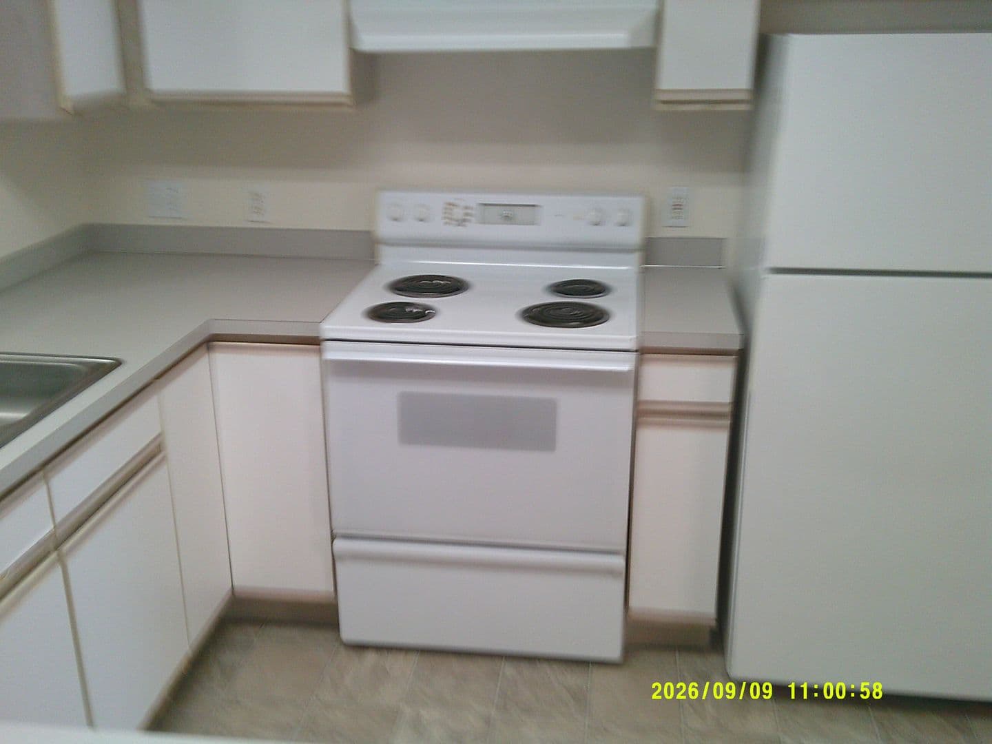 DUNDEE Apartment: 179 SW 7TH ST