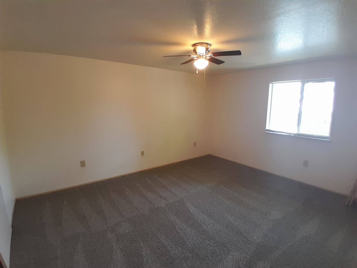 ALBANY Apartment: 1805 16th AVE. SE, #1