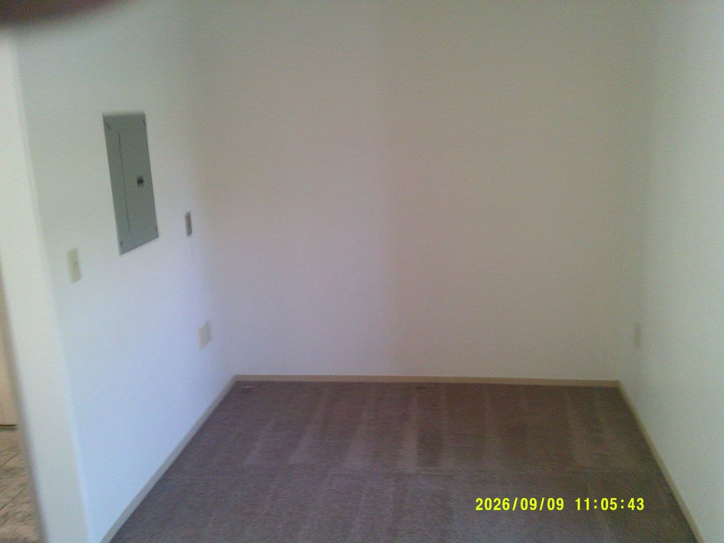 DUNDEE Apartment: 179 SW 7TH ST