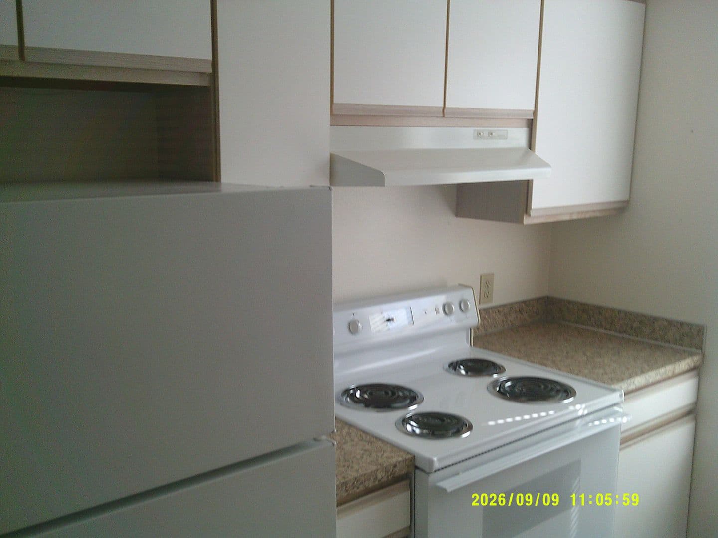 DUNDEE Apartment: 179 SW 7TH ST