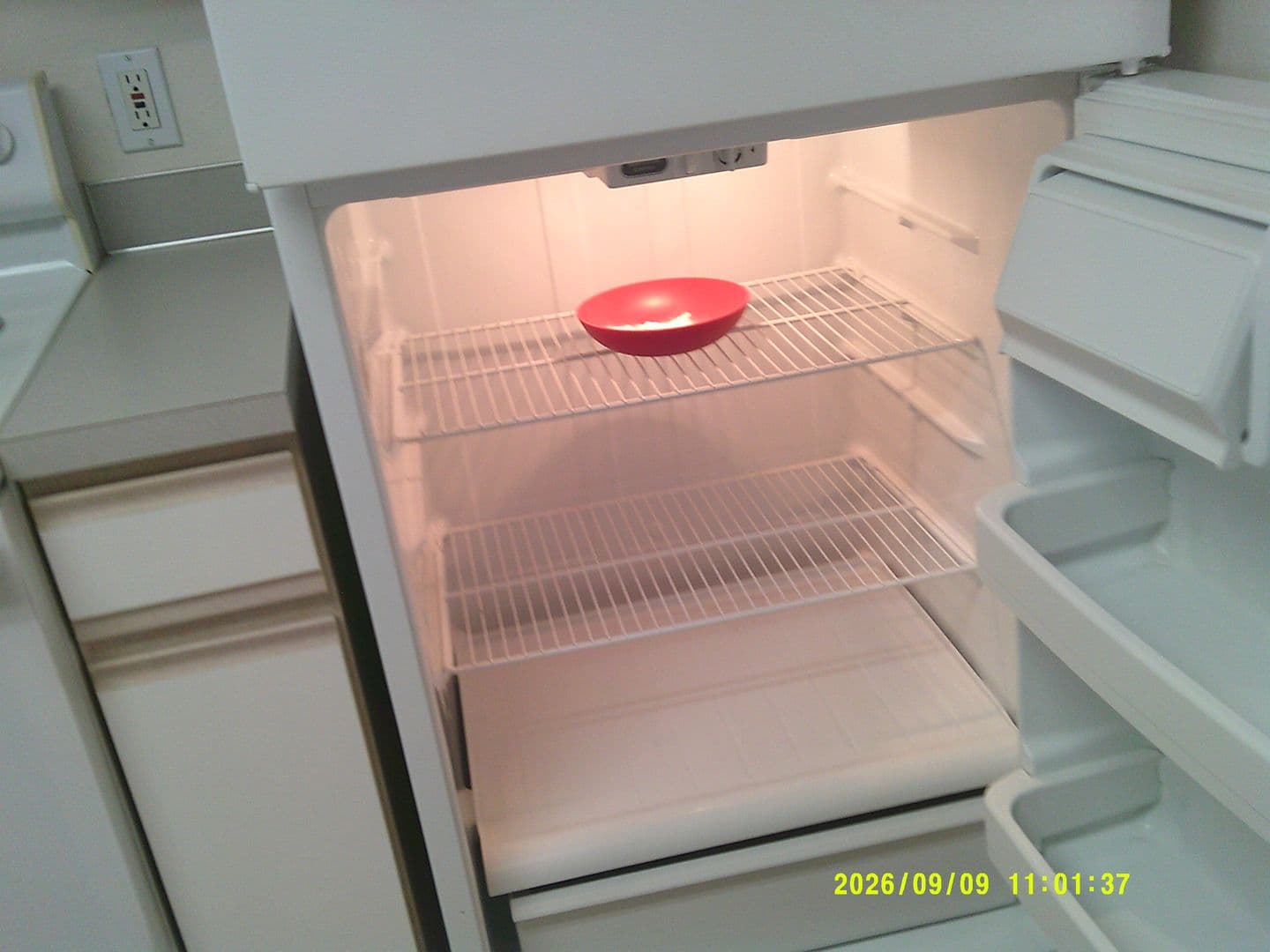 DUNDEE Apartment: 179 SW 7TH ST