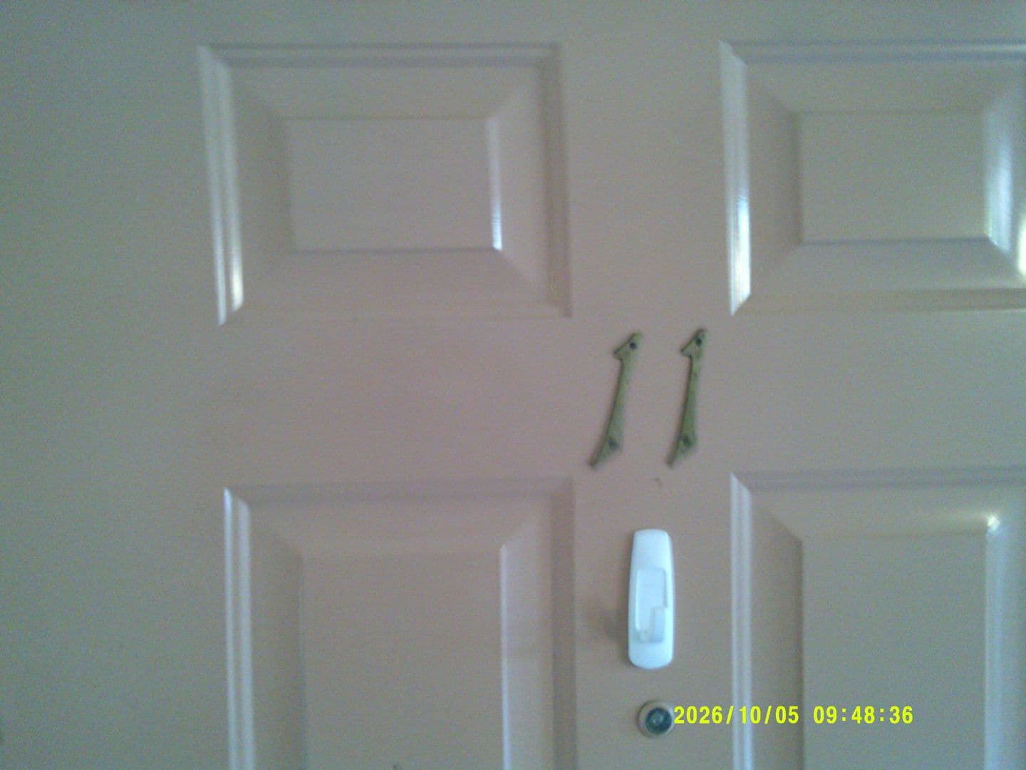 DUNDEE Apartment: 179 SW 7TH ST