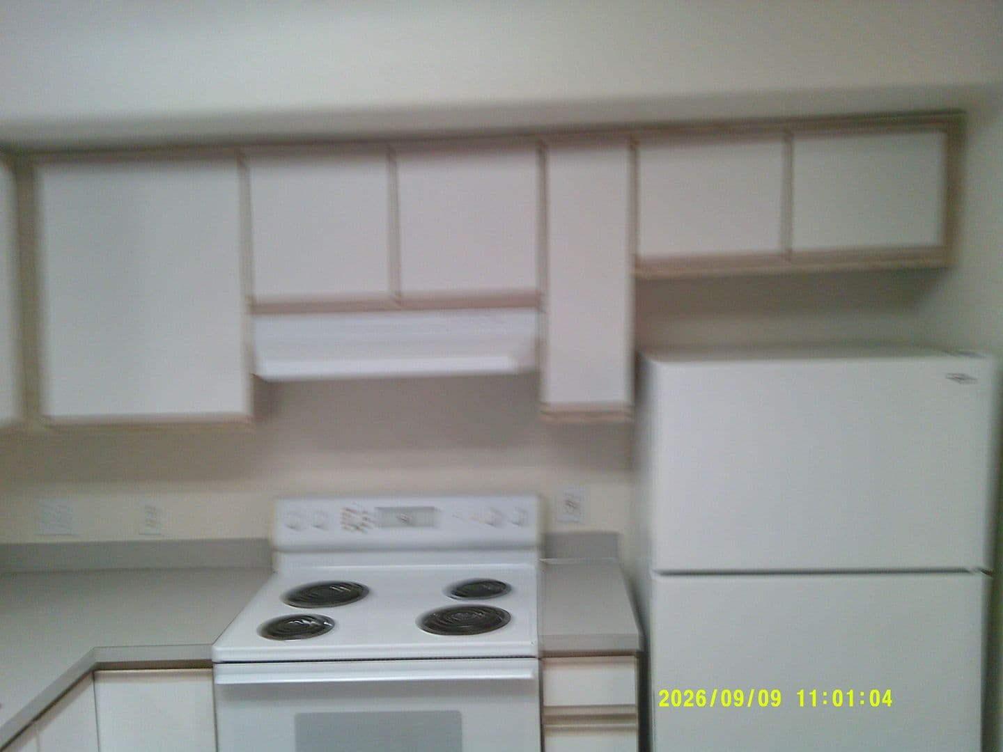 DUNDEE Apartment: 179 SW 7TH ST