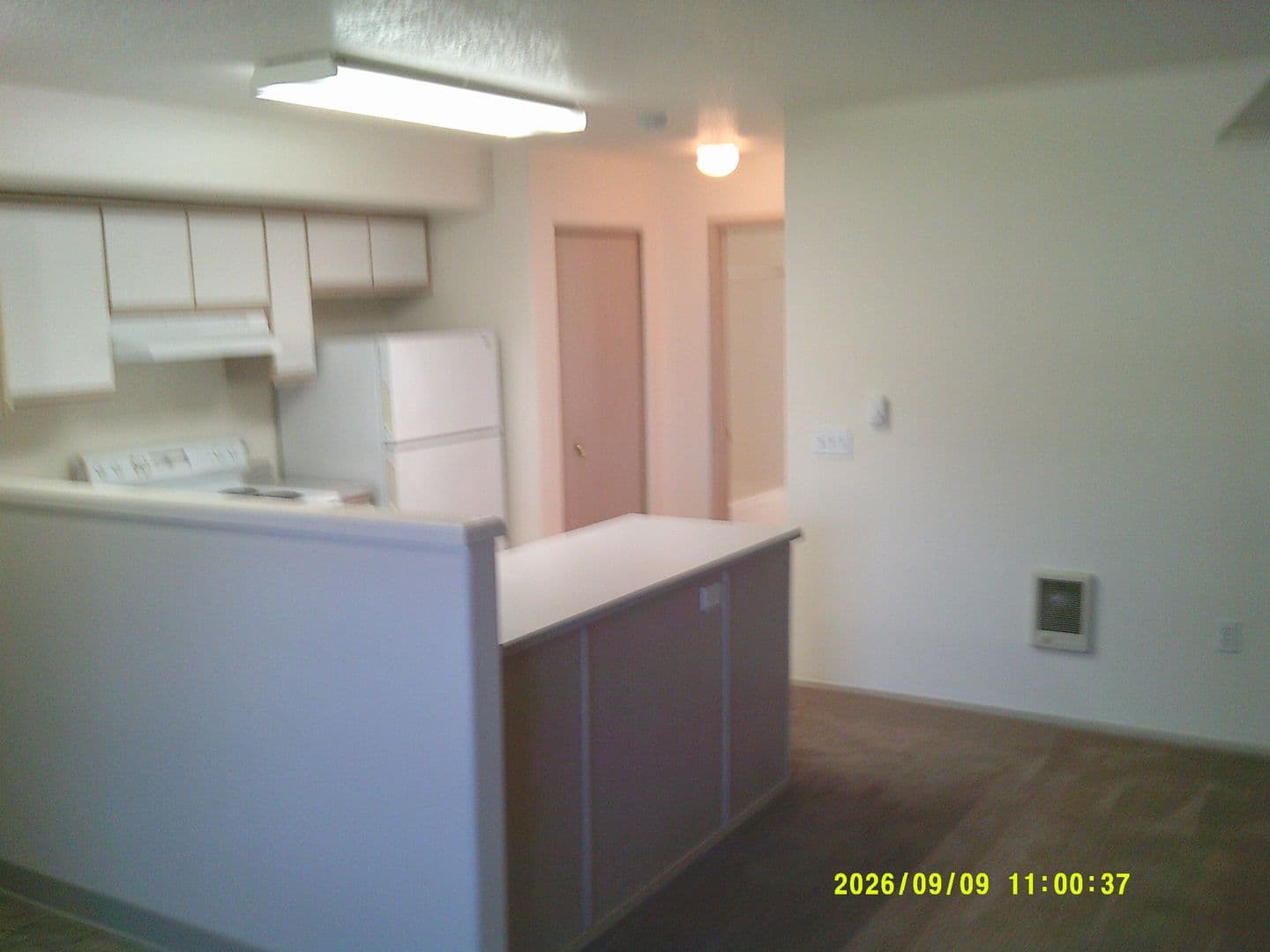 DUNDEE Apartment: 179 SW 7TH ST