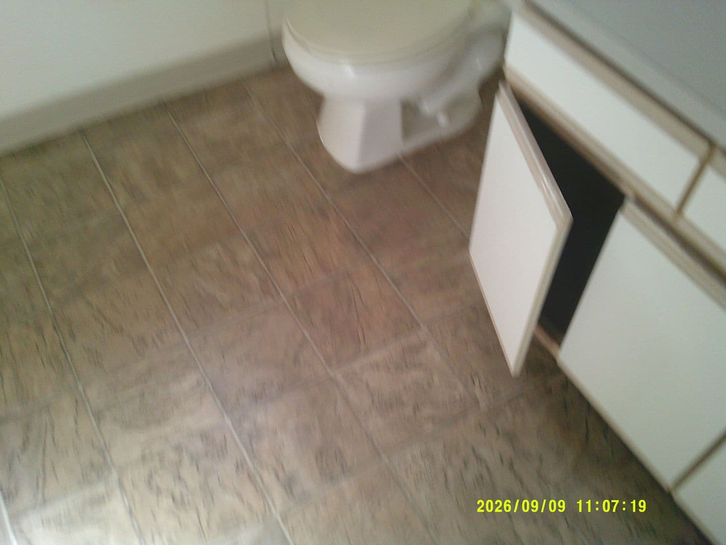 DUNDEE Apartment: 179 SW 7TH ST