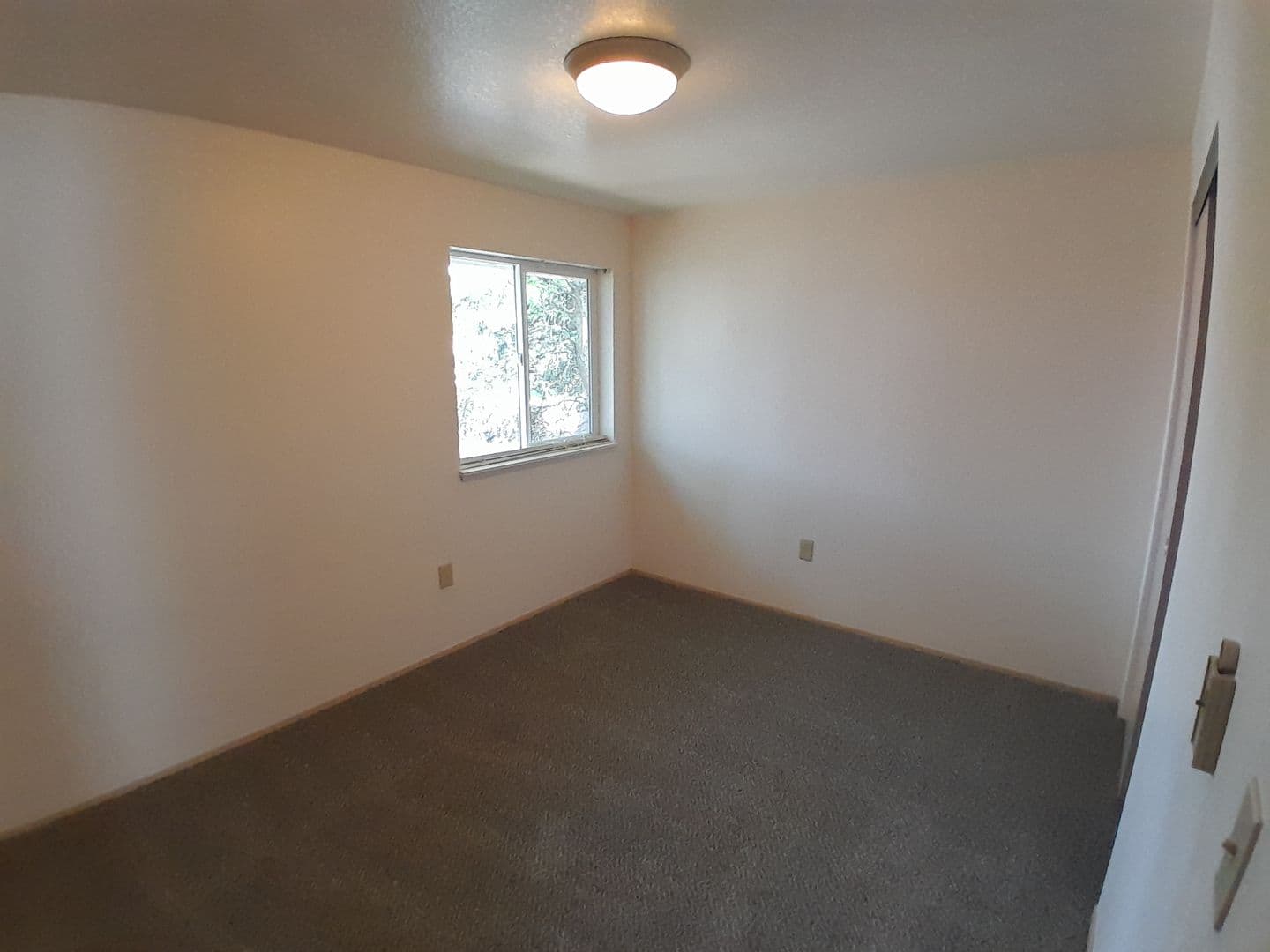 ALBANY Apartment: 1805 16th AVE. SE, #1