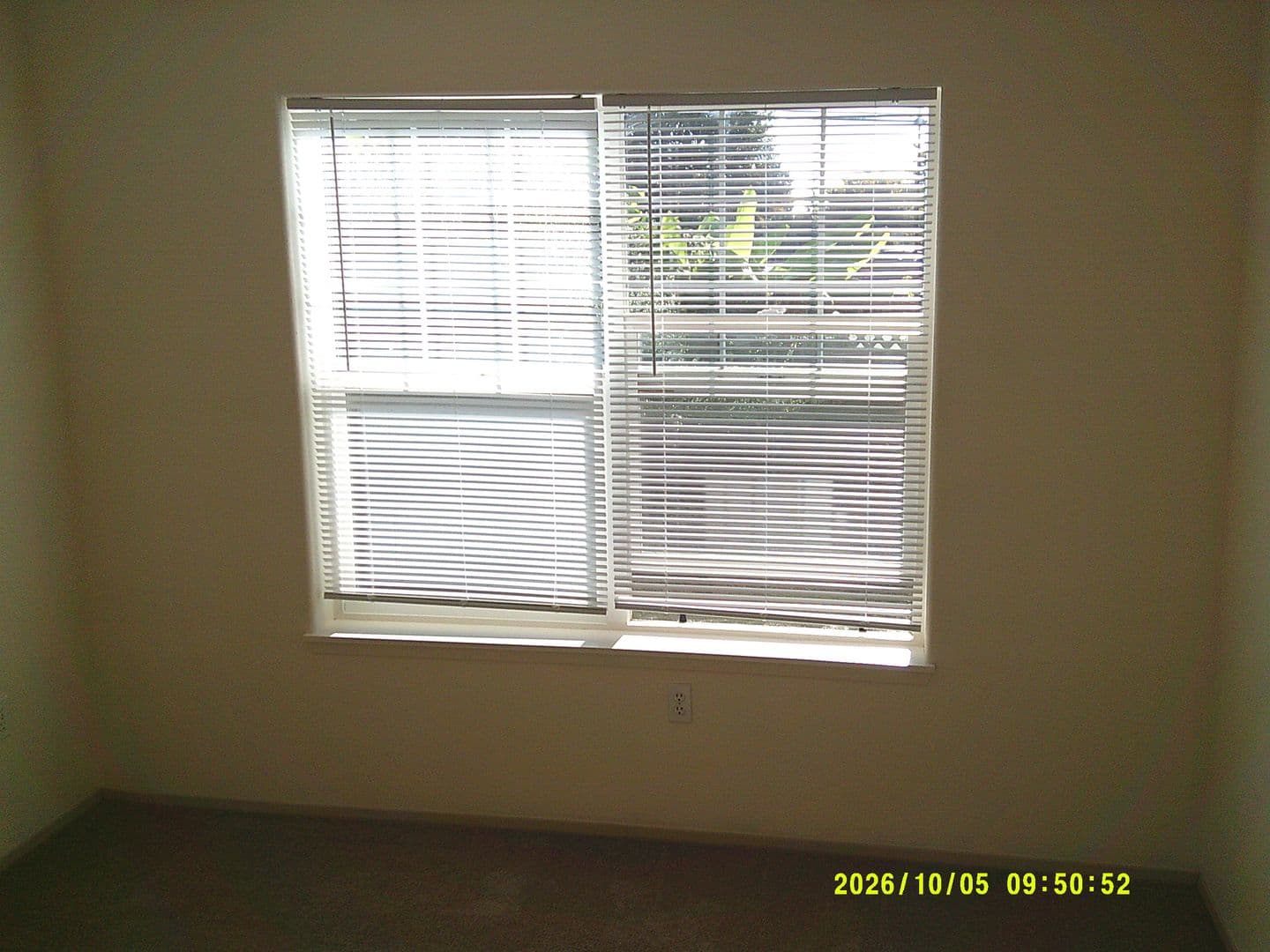 DUNDEE Apartment: 179 SW 7TH ST