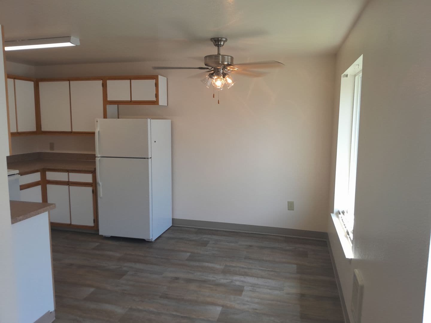 ALBANY Apartment: 1805 16th AVE. SE, #1