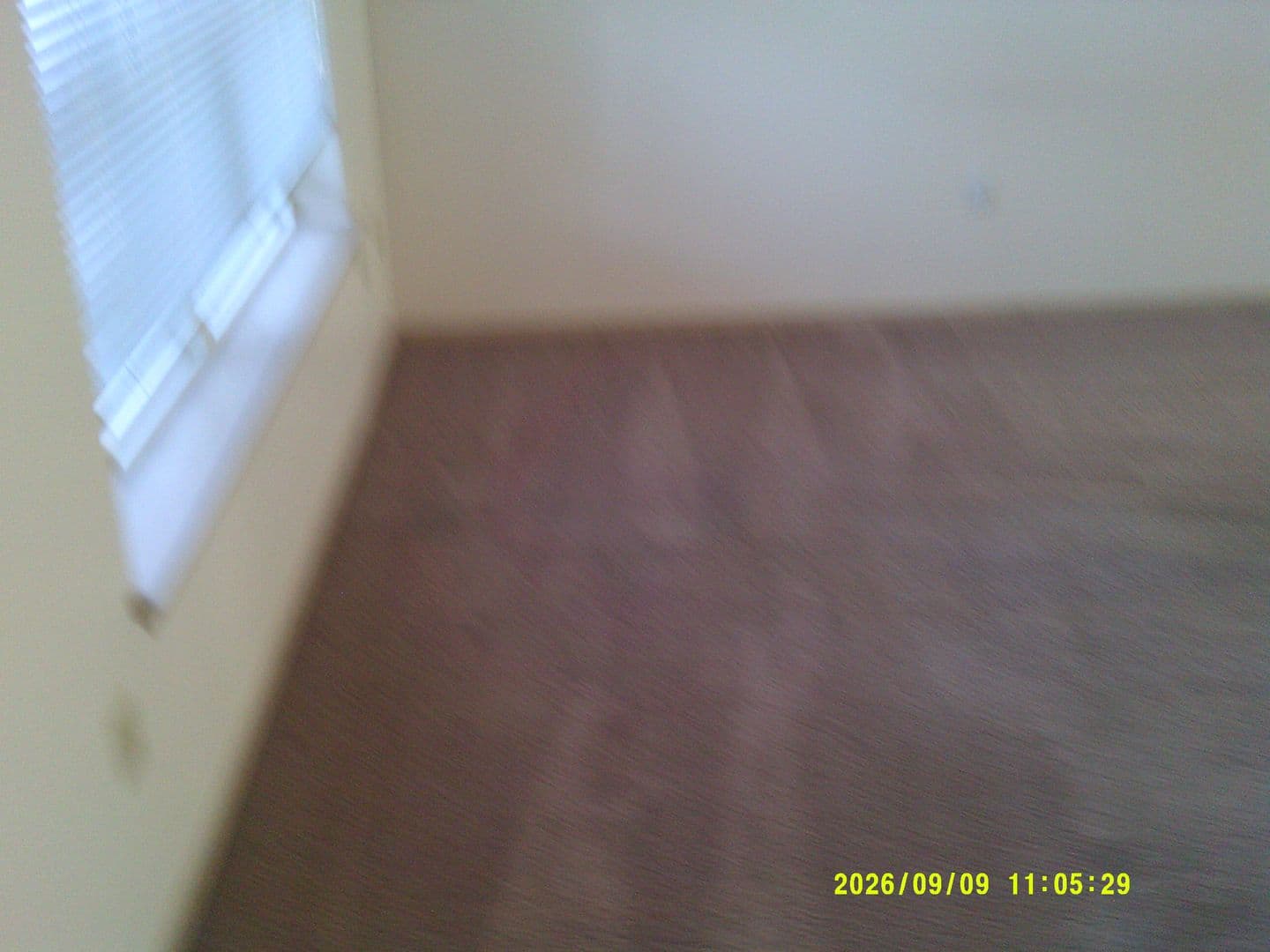 DUNDEE Apartment: 179 SW 7TH ST