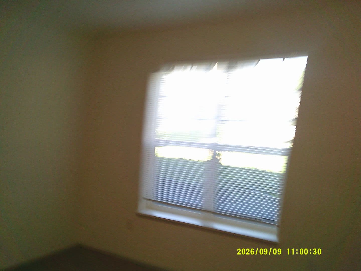 DUNDEE Apartment: 179 SW 7TH ST