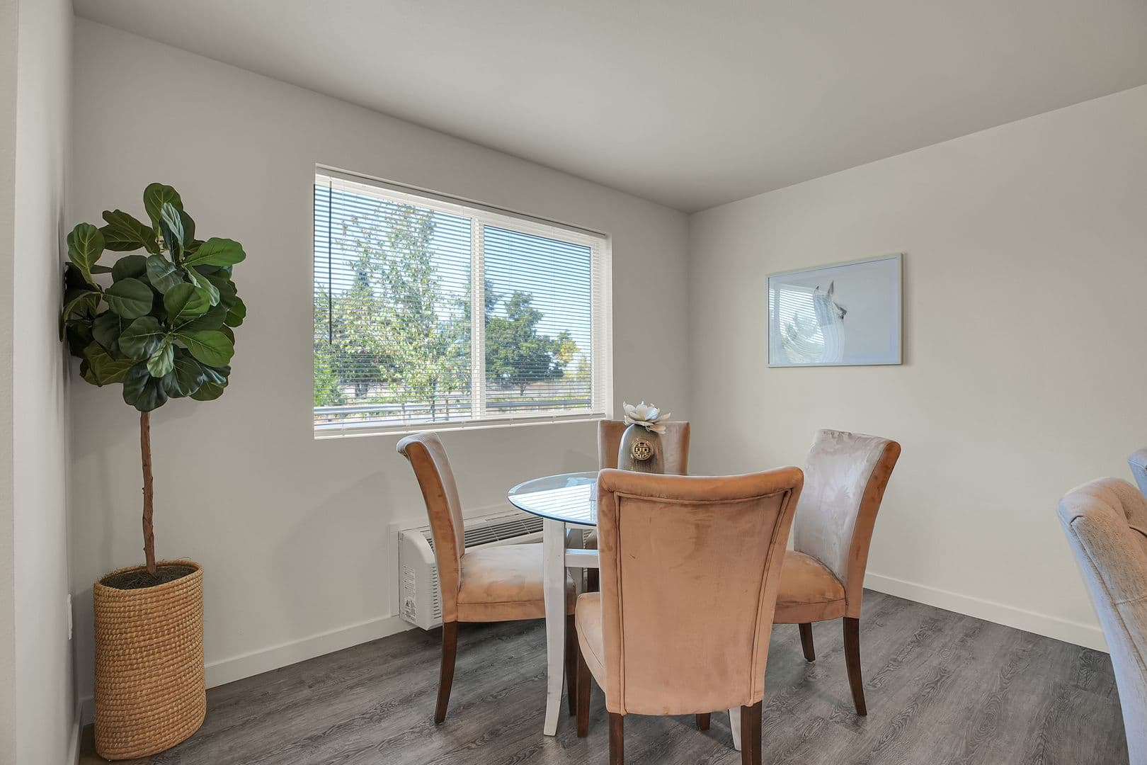 SPRINGFIELD Apartment: 4800 B STREET