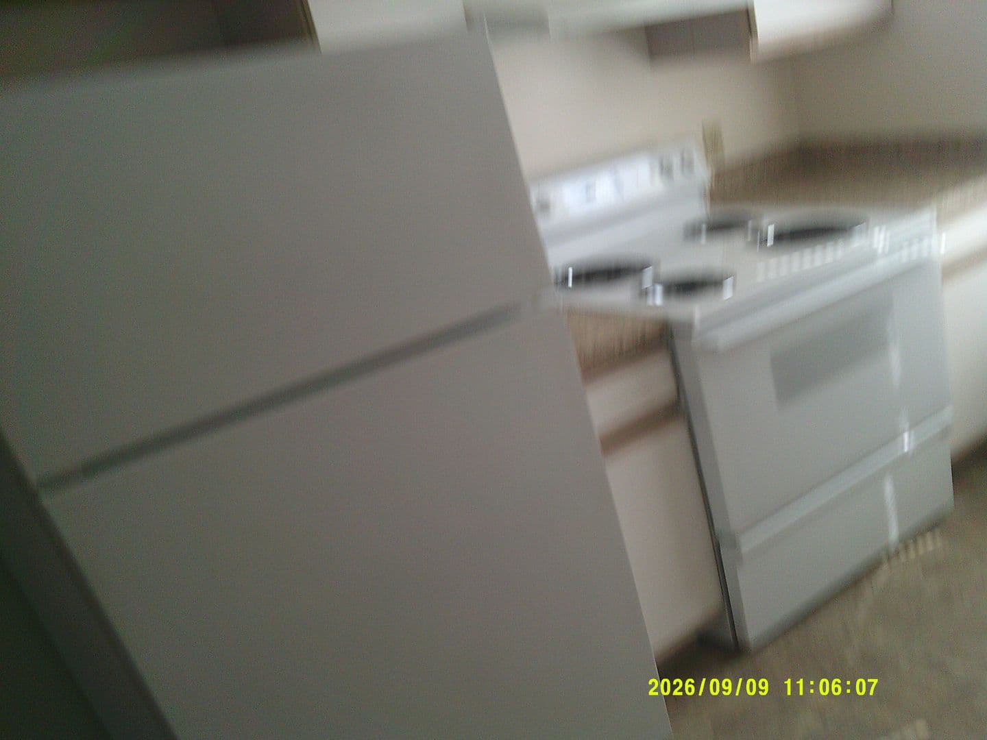 DUNDEE Apartment: 179 SW 7TH ST